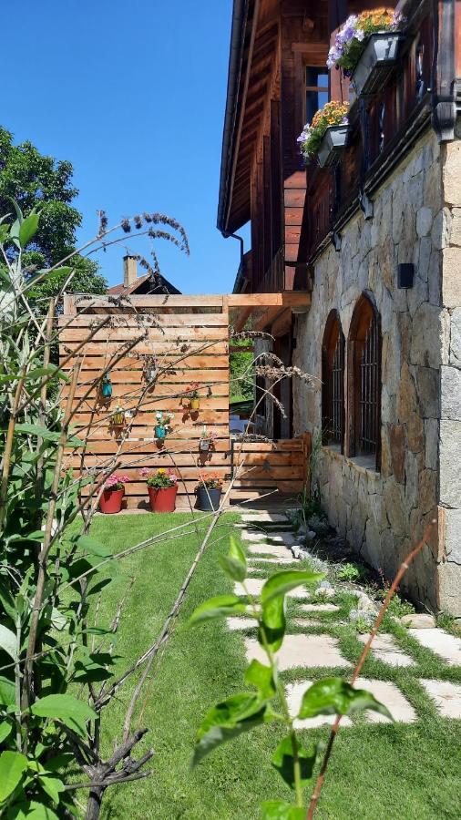 Chalet Serre Cambeou Piscine&Spa 圣沙夫雷 外观 照片