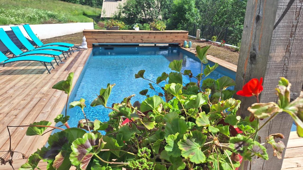 Chalet Serre Cambeou Piscine&Spa 圣沙夫雷 外观 照片